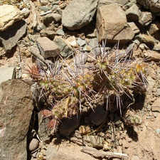 P1015907