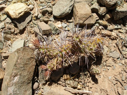 P1015907