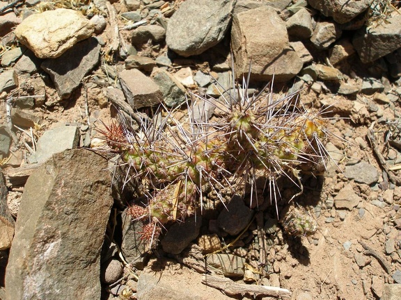 P1015907