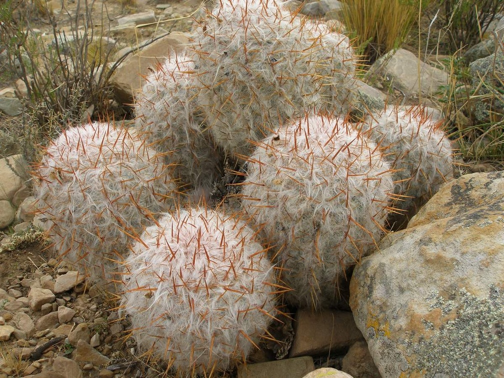 P1015920