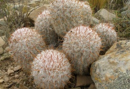 P1015920