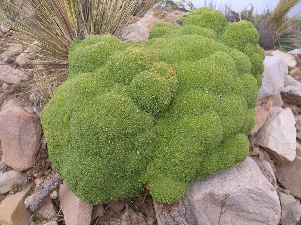 P1015922