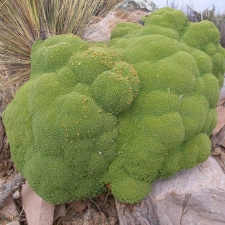 P1015922