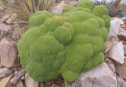 P1015922