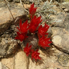P1015930