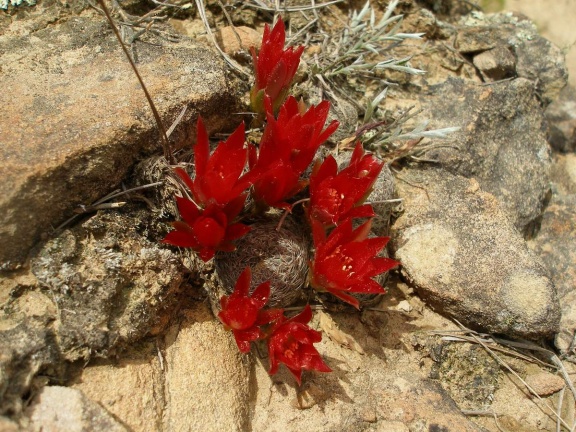 P1015930