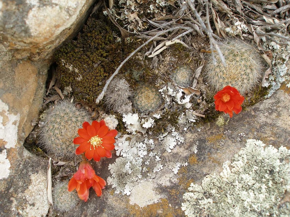 P1015933