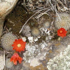 P1015933
