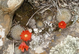 P1015933
