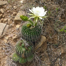 P1015934