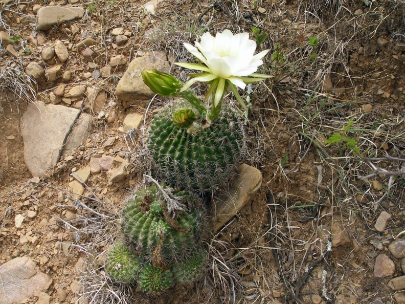 P1015934