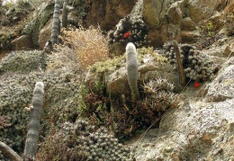 P1015940
