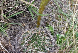 P1015941