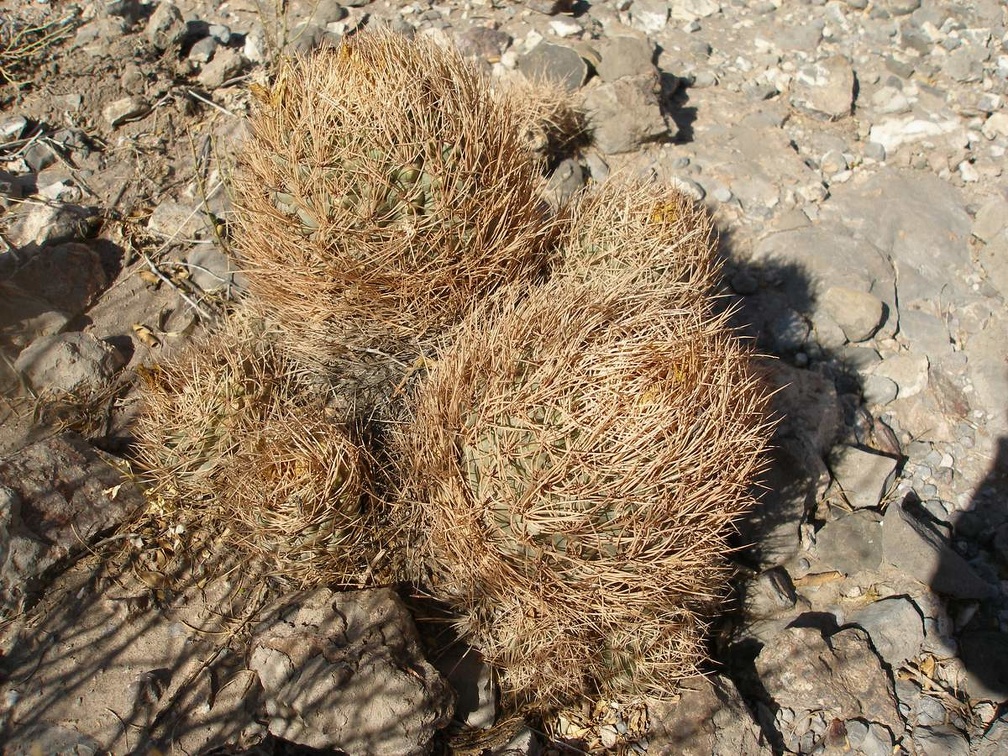 P1015949