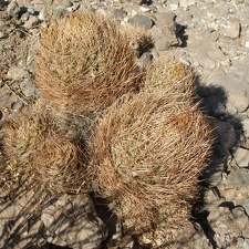 P1015949