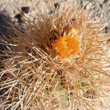 P1015951