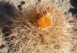 P1015951