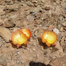 P1015952