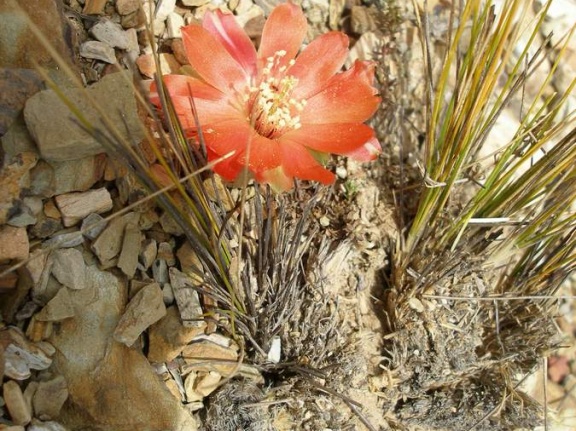 P1015953