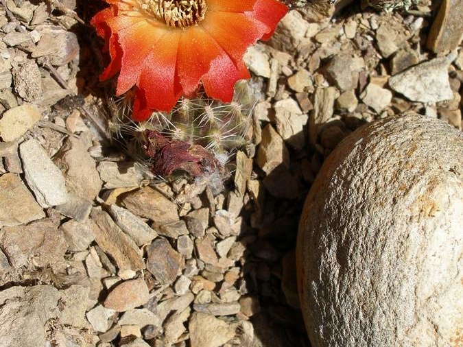 P1015956