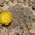 P1015959
