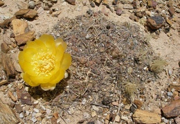 P1015959