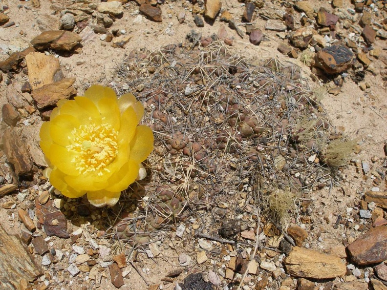 P1015959