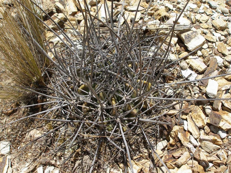 P1015960