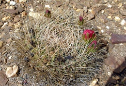 P1015962