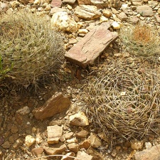 P1015963