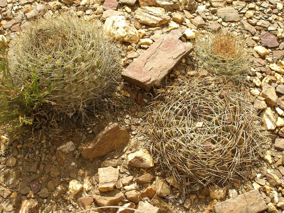 P1015963