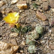 P1015964