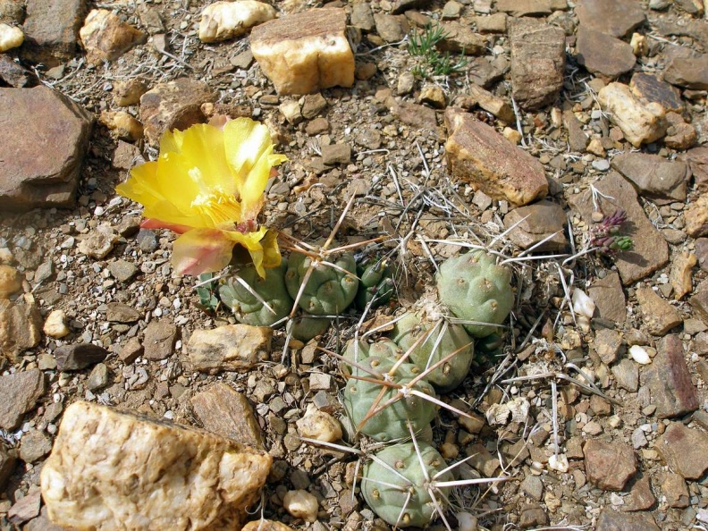 P1015964