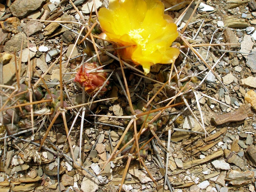 P1015966