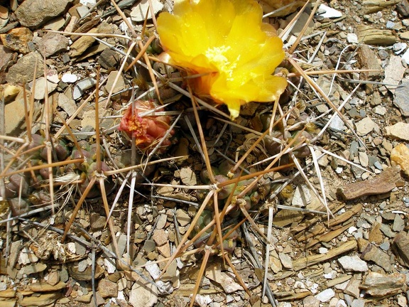 P1015966