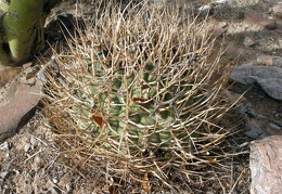 P1015981