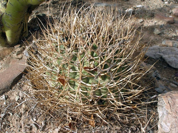 P1015981