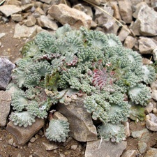 P1016003