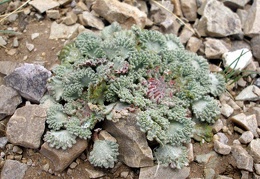 P1016003