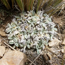 P1016004