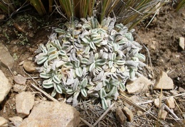P1016004