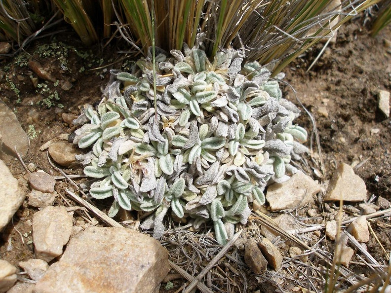 P1016004