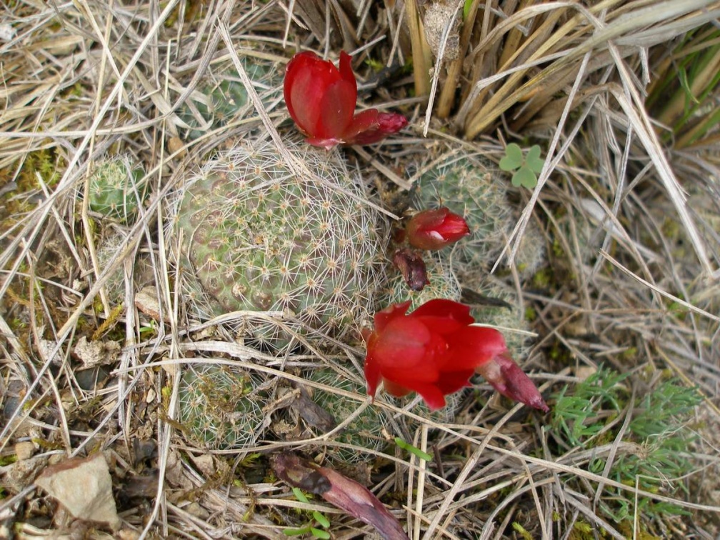 P1016023