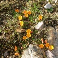 P1016035