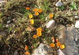 P1016035