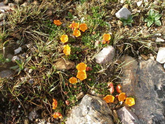 P1016035