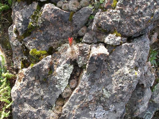 P1016037