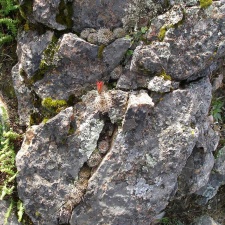 P1016037
