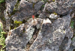 P1016037