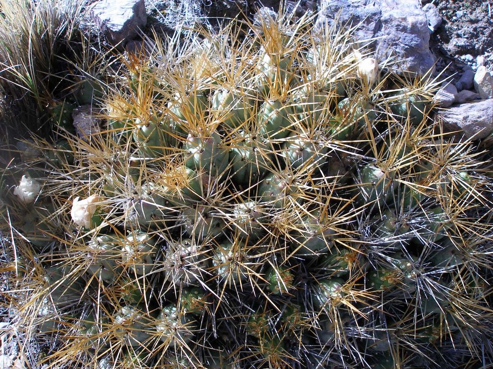 P1016055